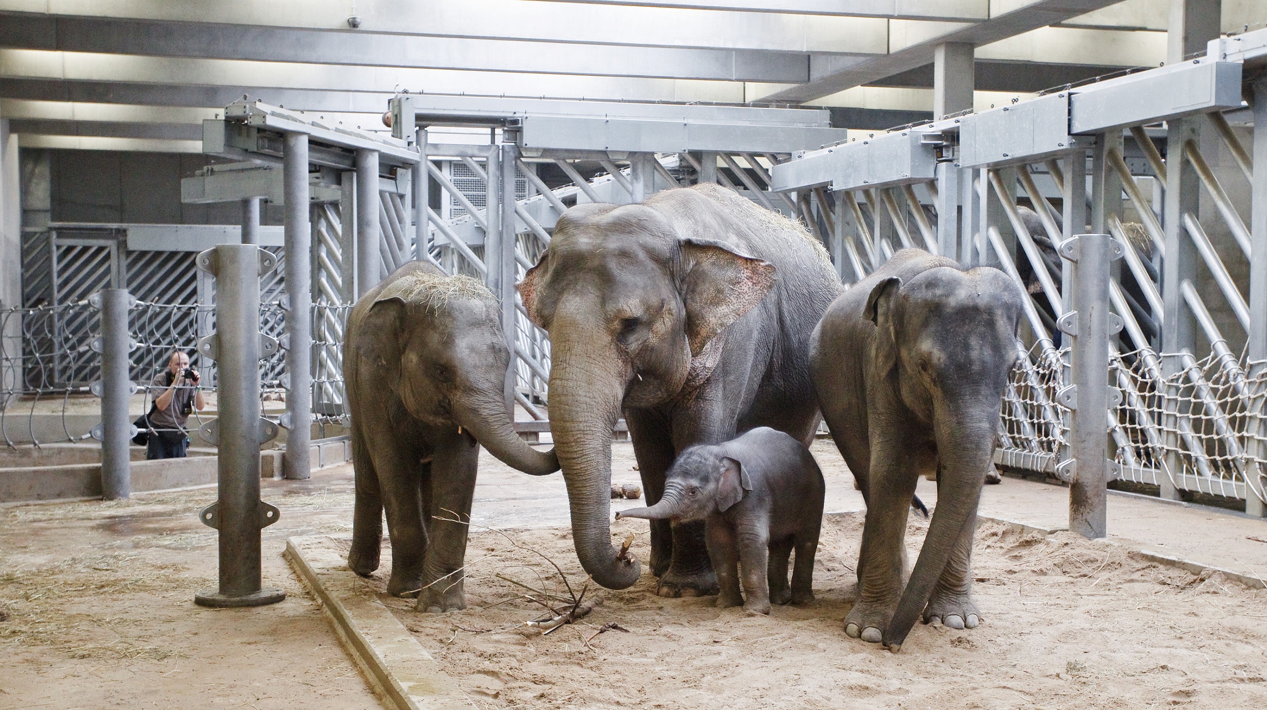 Diwali, svátek světel v Zoo Praha